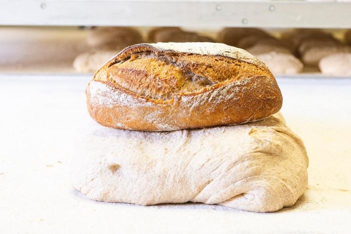 Pane Evoluzione di Pan Bianch Pinerolo Pane Evoluzione di Pan Bianch Pinerolo