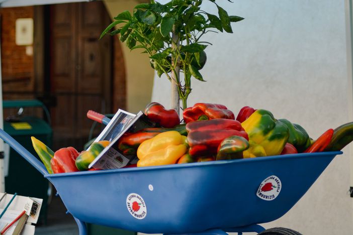 Carmagnola, successo per la 76esima Fiera Nazionale del Peperone