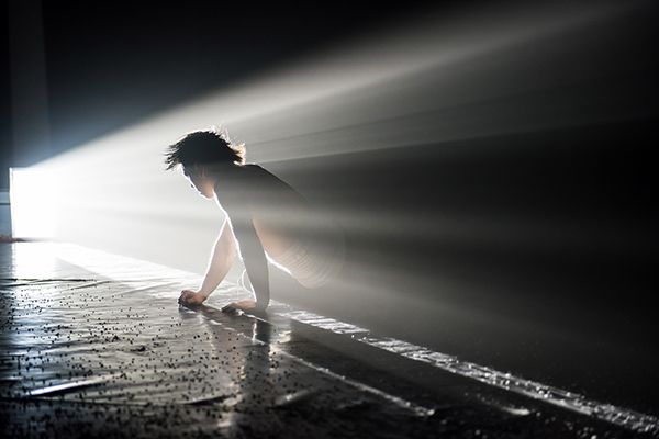 Al Teatro Astra lo spettacolo Bird/osservatorio di blucinQue Al Teatro Astra lo spettacolo Bird/osservatorio di blucinQue