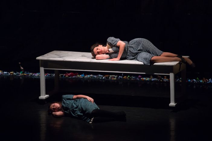 Due spettacoli speciali alla Casa del Teatro per onorare il Giorno della Memoria Due spettacoli speciali alla Casa del Teatro per onorare il Giorno della Memoria