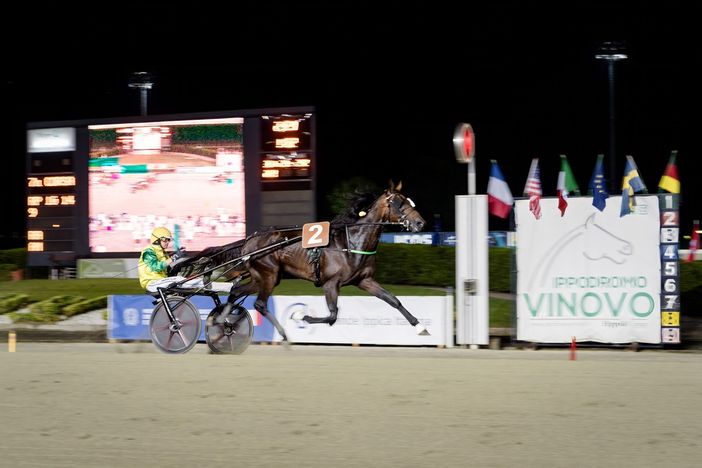 Vinovo, al Gran Premio Marangoni brillano le stelle di Frank Gio e Funny Gio Vinovo, al Gran Premio Marangoni brillano le stelle di Frank Gio e Funny Gio