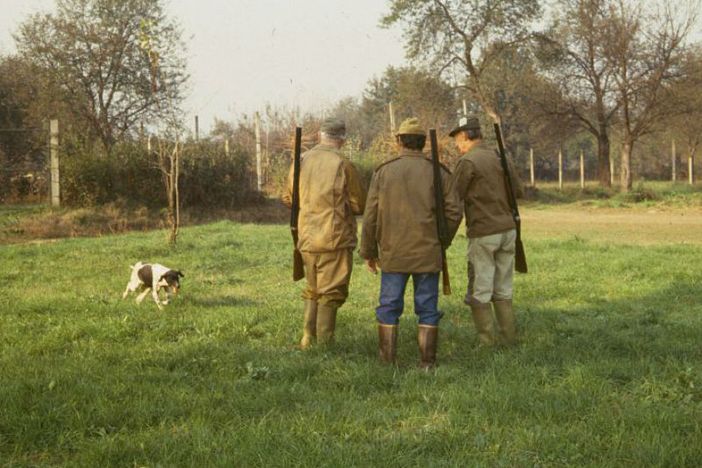 Riforma della caccia: pioggia di emendamenti in Consiglio regionale Riforma della caccia: pioggia di emendamenti in Consiglio regionale