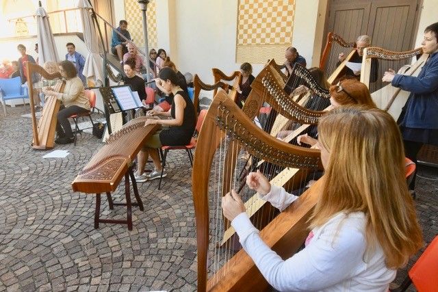 BardonecchiArp Festival BardonecchiArp Festival