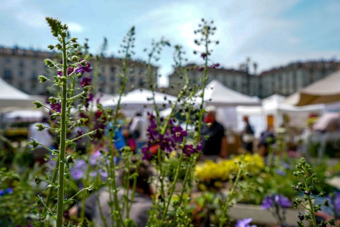 piazza Solferino piazza Solferino