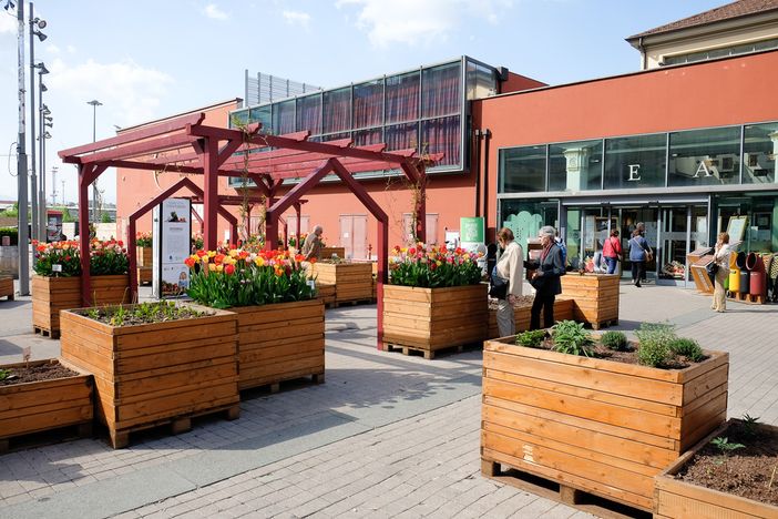 Eataly Lingotto festeggia la giornata della biodiversità Eataly Lingotto festeggia la giornata della biodiversità