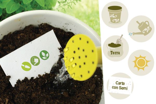 Pianta la Tua Carta con Semi: iGreen, il progetto che aiuta l'ambiente!