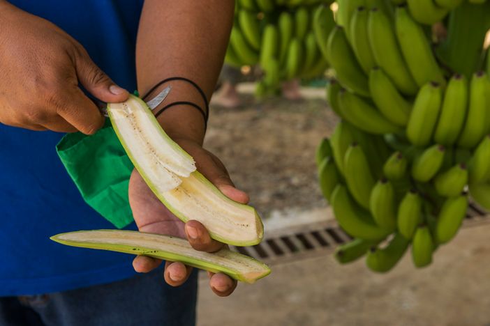 Fair Place, l'economia solidale al centro della mostra promossa da Nova Coop