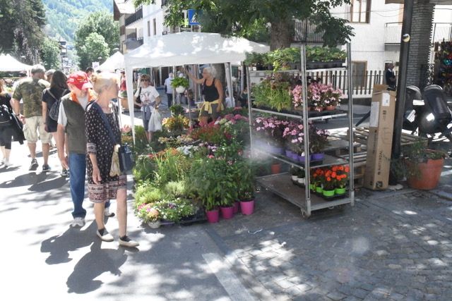 Un successo a Bardonecchia la quinta edizione di Flor Estate