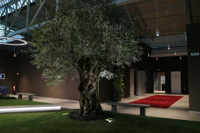 Giubileo, una grande squadra al servizio del commiato