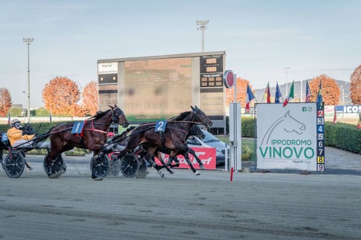 Conto alla rovescia per un'edizione da record del Gran Premio Orsi Mangelli a Vinovo Conto alla rovescia per un'edizione da record del Gran Premio Orsi Mangelli a Vinovo