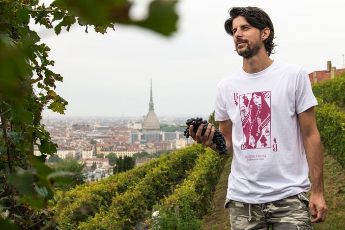 Terminata la vendemmia a Villa della Regina: in cantina circa 50 quintali di uve Freisa Terminata la vendemmia a Villa della Regina: in cantina circa 50 quintali di uve Freisa