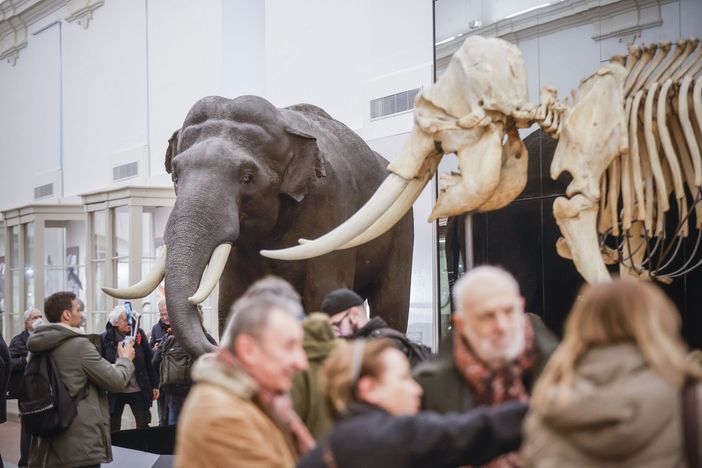 Quasi 50 mila prenotazioni nelle prime tre settimane di riapertura del Museo di Scienze Naturali