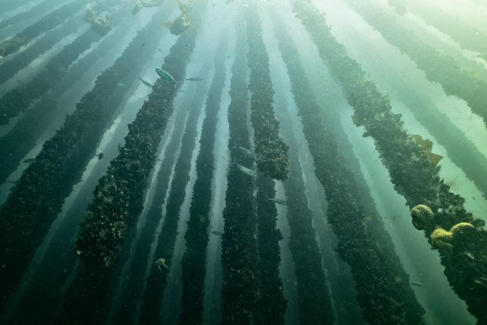 Alle Gallerie d'Italia, la mostra fotografica di Luca Locatelli Alle Gallerie d'Italia, la mostra fotografica di Luca Locatelli