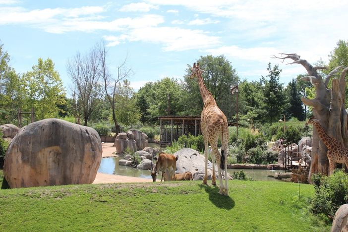 Il bioparco Zoom esce dalla fase di start-up Il bioparco Zoom esce dalla fase di start-up