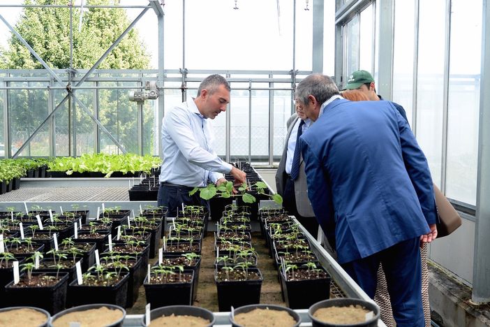 Agroinnova, da Grugliasco si aprono le celebrazioni in Italia per l'anno internazionale della Salute delle Piante