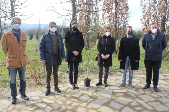 A Torino un bosco per le vittime del Covid, Appendino: “Non le dimentichiamo, ma ora si vaccini in fretta” [VIDEO]