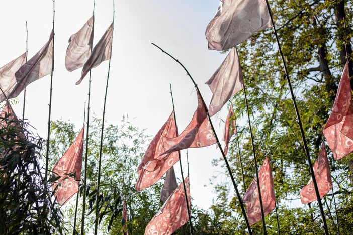 All'Orto Botanico, una mostra sui licheni che abitano le architetture di Torino All'Orto Botanico, una mostra sui licheni che abitano le architetture di Torino