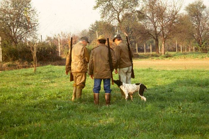 Modifiche al Piano di controllo faunistico della Regione