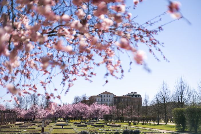 Cosa fare a Pasqua e Pasquetta? Ecco le proposte dei musei in città
