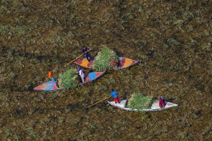 Cinemambiente in Valchiusella torna con le proiezioni itineranti Cinemambiente in Valchiusella torna con le proiezioni itineranti