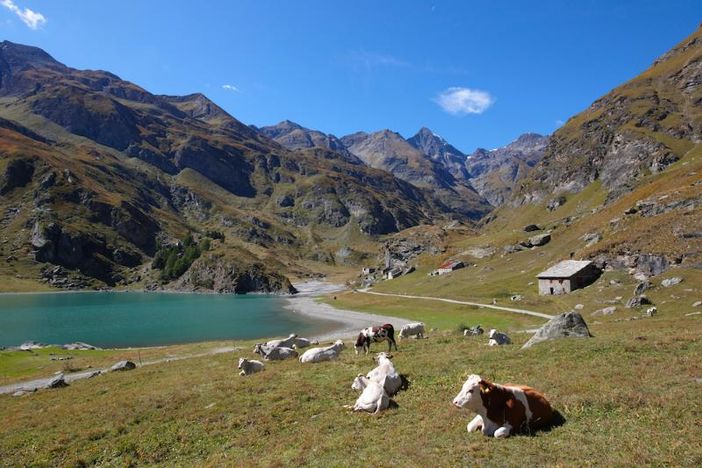 Da inizio luglio a settembre, traffico limitato sulla strada da Margone al lago di Malciaussia