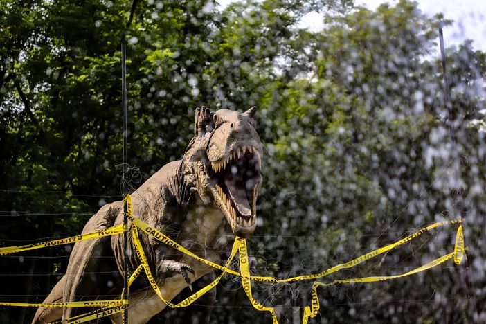 Il piazzale del Pala Vela come Jurassik Park: arriva la mostra Dinosaurs Live Il piazzale del Pala Vela come Jurassik Park: arriva la mostra Dinosaurs Live