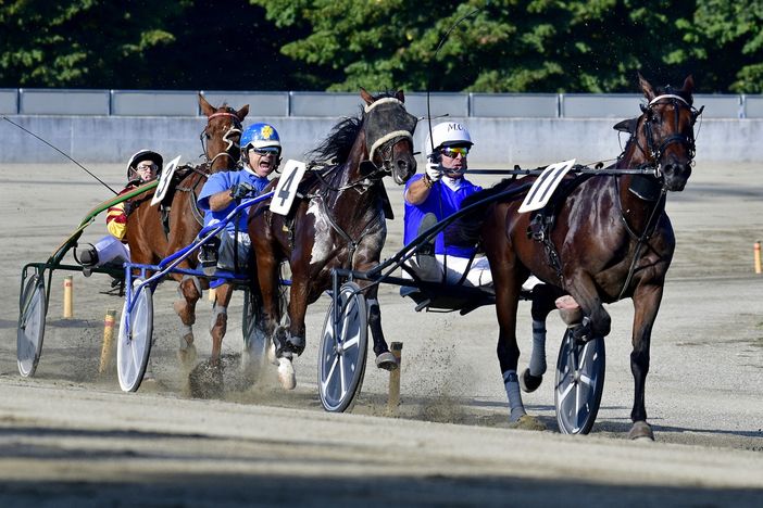 Aspiranti miss Italia e puledri: ecco il programma di mercoledì all'ippodromo di Vinovo