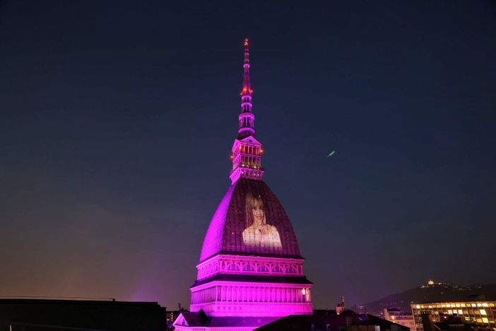 Mole illuminata Mole illuminata