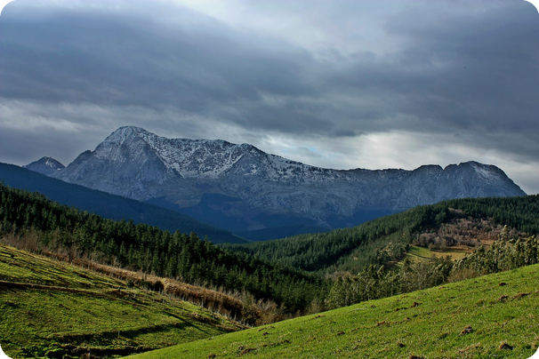 Approvata in via definitiva la legge forestale, la soddisfazione di Uncem Piemonte Approvata in via definitiva la legge forestale, la soddisfazione di Uncem Piemonte
