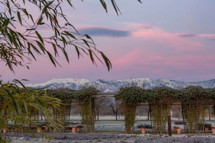Alla Reggia di Venaria, l'ultimo appuntamento "green" con il paesaggista Fernando Caruncho