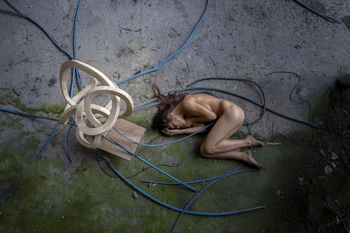 Alla Ossimoro Art Gallery, apre la mostra "Carpenter Trees"