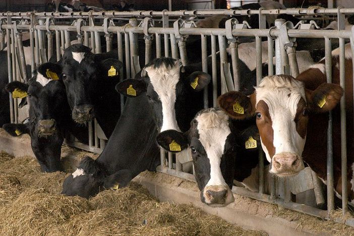 Defr, per l’Agricoltura 145 milioni l’anno Defr, per l’Agricoltura 145 milioni l’anno