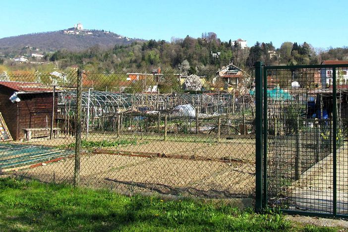 AAA Aspiranti Ortolani cercasi a Parco Dora AAA Aspiranti Ortolani cercasi a Parco Dora