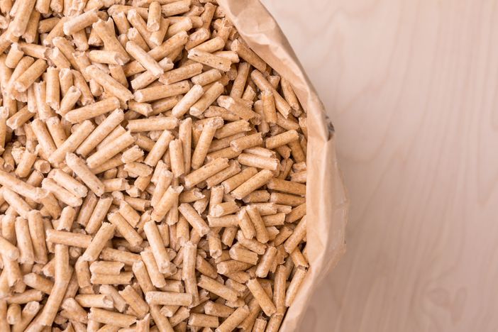 Caldaie a Pellet Caldaie a Pellet