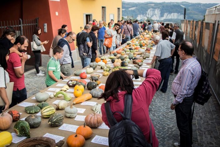 Torna la Fiera Regionale della Zucca di Piozzo, in provincia di Cuneo Torna la Fiera Regionale della Zucca di Piozzo, in provincia di Cuneo