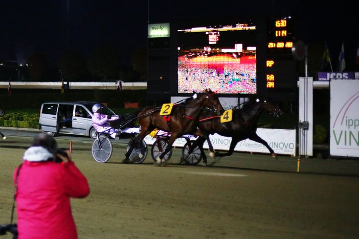 preserali a vinovo preserali a vinovo