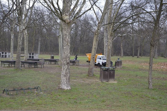 Servizi di spazzamento e pulizia dei giardini di Nichelino, il punto di Covar14 Servizi di spazzamento e pulizia dei giardini di Nichelino, il punto di Covar14