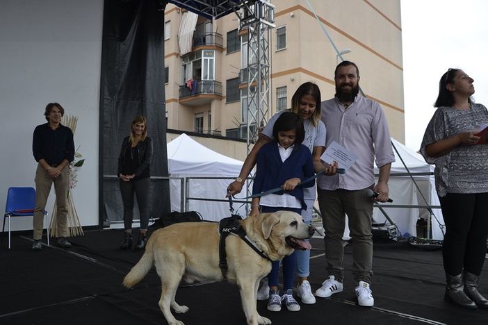 Successo per le &quot;Quattro zampe in passerella&quot; a Nichelino