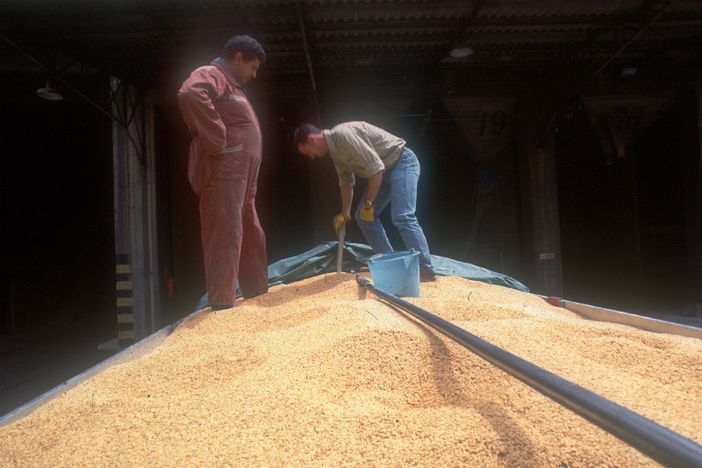 Entro un mese un marchio per il riso piemontese