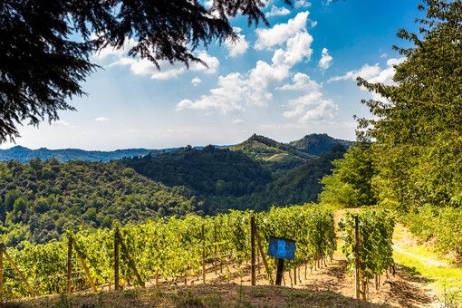Alla scoperta del Santuario del Tavoletto e del Santuario della Madonna dei Boschi Alla scoperta del Santuario del Tavoletto e del Santuario della Madonna dei Boschi