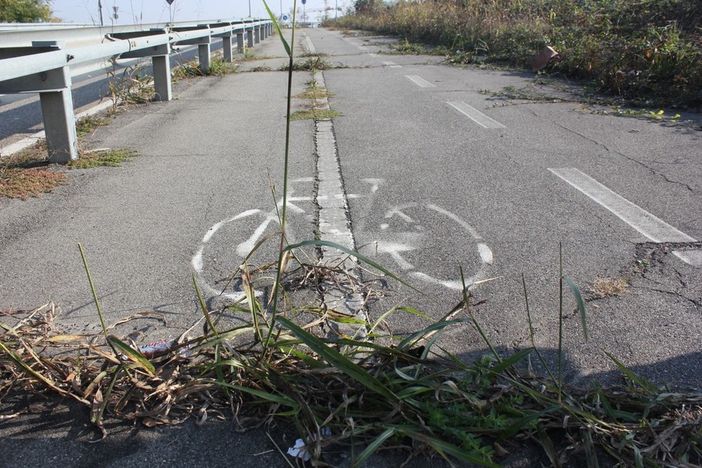 Villaretto, il quartiere senza bus serale e ciclabile pericolosa. Il Comune: "Al lavoro per risolvere i problemi" Villaretto, il quartiere senza bus serale e ciclabile pericolosa. Il Comune: "Al lavoro per risolvere i problemi"