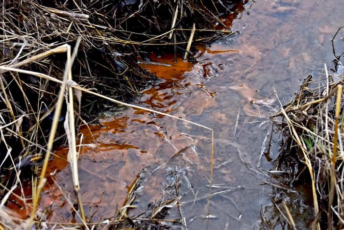 «Quella sostanza melmosa non ci piace», il Comitato Valnoce Ambiente e Salute chiede rassicurazioni sugli scoli