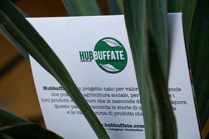 Succhi, sidro e nocciole, rappresentano il Pinerolese nel ‘Paniere del Cibo Civile’ Succhi, sidro e nocciole, rappresentano il Pinerolese nel ‘Paniere del Cibo Civile’