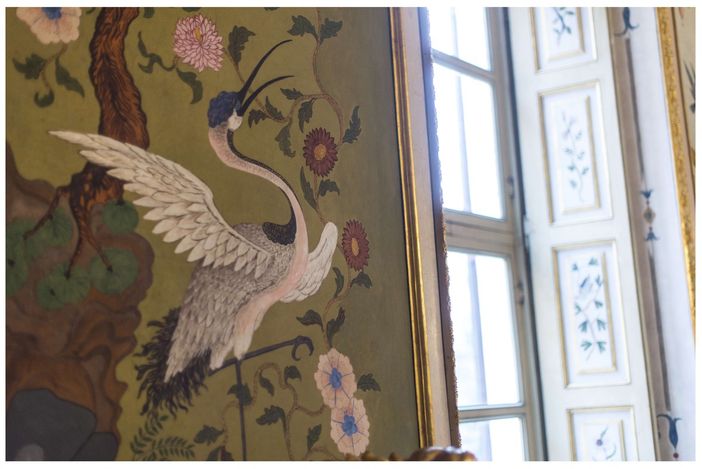 birdwatching palazzina stupinigi birdwatching palazzina stupinigi