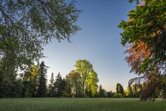 "Bellezza tra le righe": dal 25 luglio i parchi di Casa Lajolo e Castello di Miradolo si mettono in luce