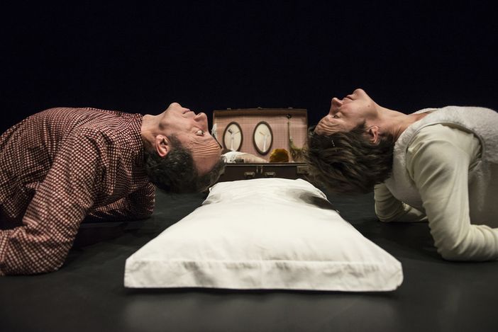 Sette volte Earthink, a Torino torna il festival dedicato al nostro pianeta Sette volte Earthink, a Torino torna il festival dedicato al nostro pianeta
