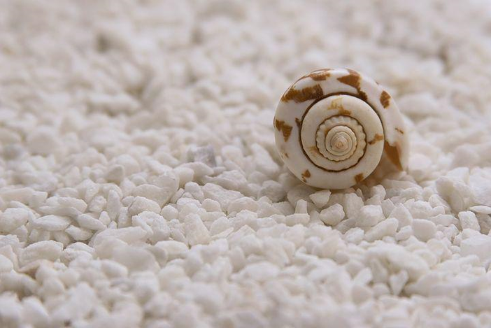 GreenLife: vanno in scena i profumi per il nostro benessere