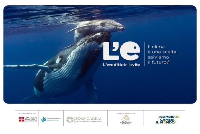 "L'Eredità della vita", a Torino una mostra sui cambiamenti climatici "L'Eredità della vita", a Torino una mostra sui cambiamenti climatici