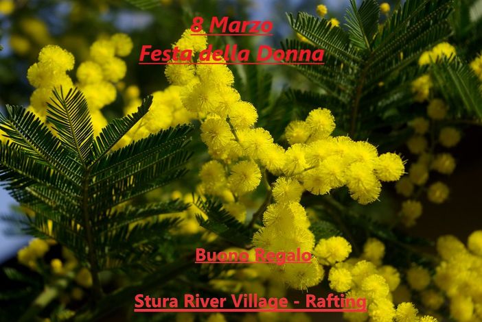 Festa della Donna: Regala un'esperienza indimenticabile!