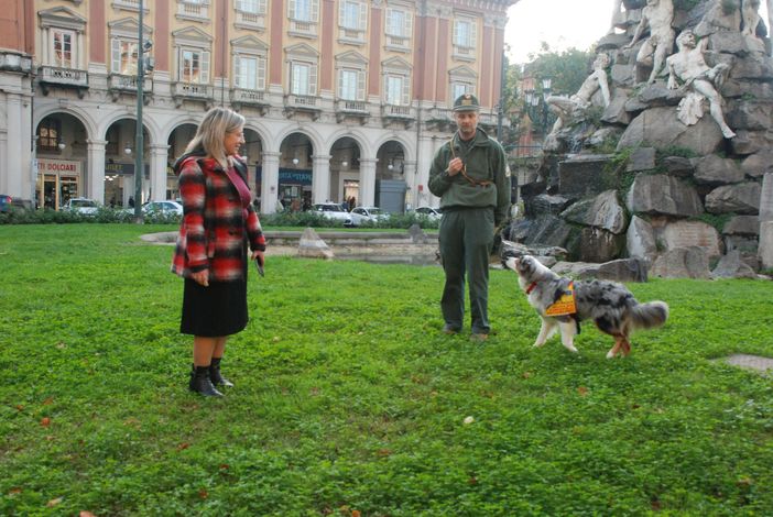 Si chiama Myrtille, l'angelo a 4 zampe che salva i suoi simili dai bocconi avvelenati (FOTO) Si chiama Myrtille, l'angelo a 4 zampe che salva i suoi simili dai bocconi avvelenati (FOTO)
